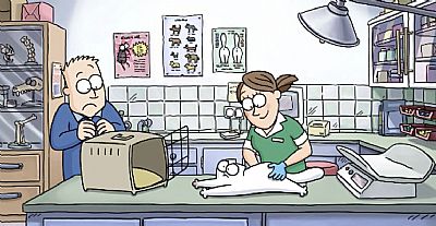 courtesy simon's cat